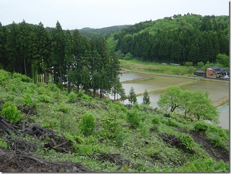 里山の風景