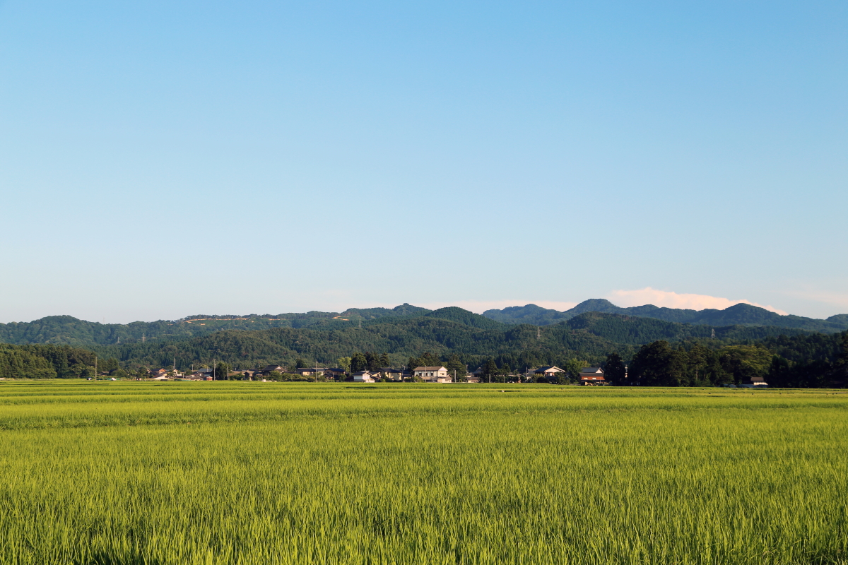 村上市の風景